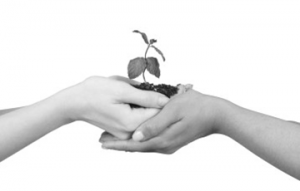 relacion terapeutica